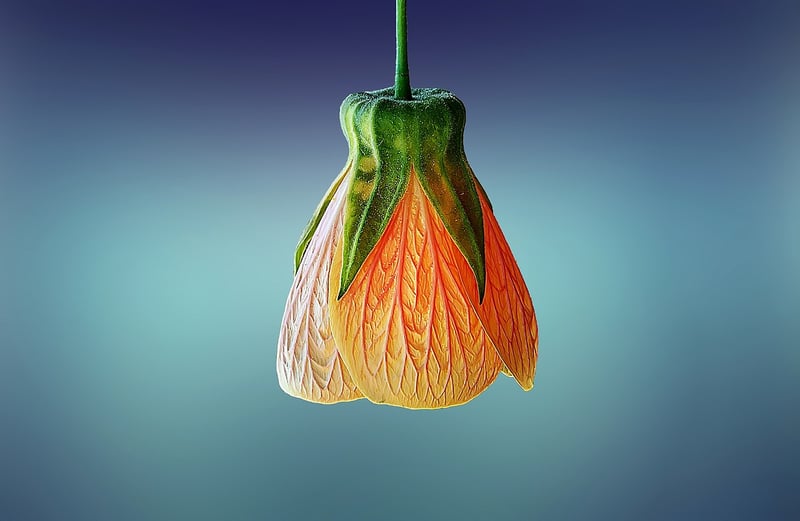 Suspended Plant Arrangements